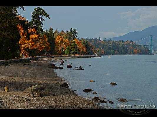 Fall colours in Stanley Park, Vancouver