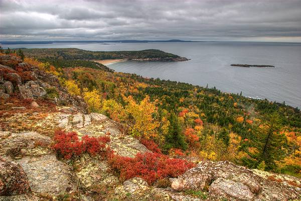 Acadian Autumn