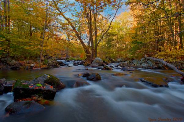 Sunlight and Fall Colors