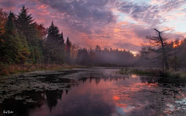 Taylor Pond Wild Forest