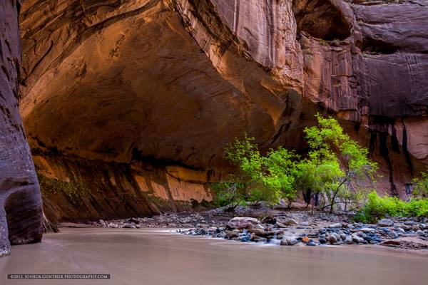 The Narrows-Zion National Park