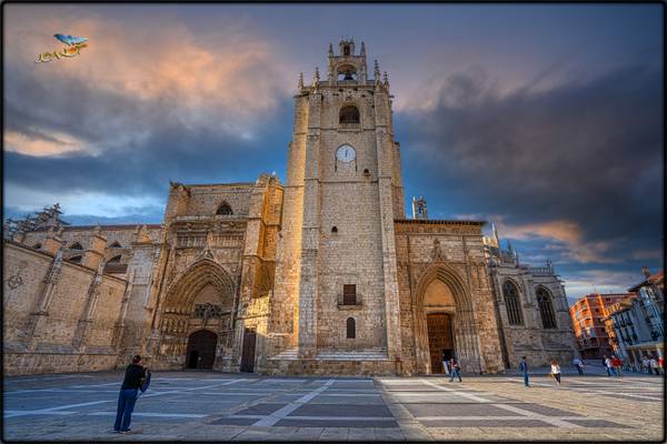 10131949 - Catedral Basílica de San Antolín de Palència