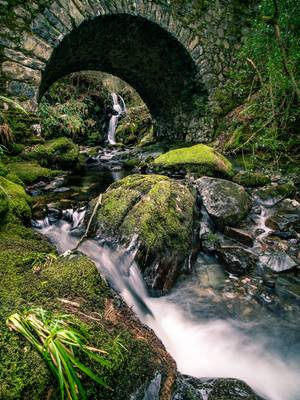 Tollymore Forest Park - United Kingdom - Landscape photography