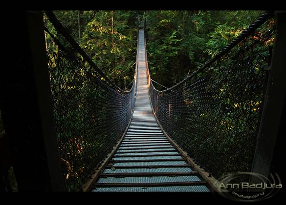 Suspension Bridge at Lynn Canyon Park