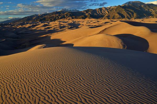 Golden dunes in the golden hour