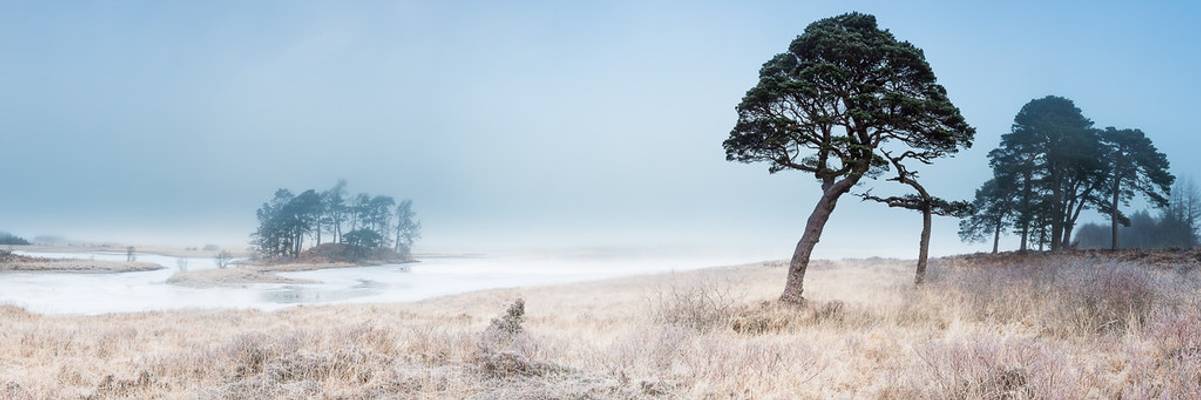 ...then the fog rolled in...