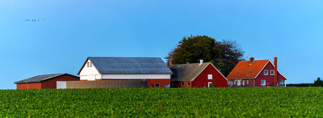 Danish farmhouse