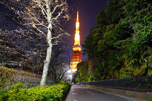 Tokyo by night. Walk to the Tokyo Tower