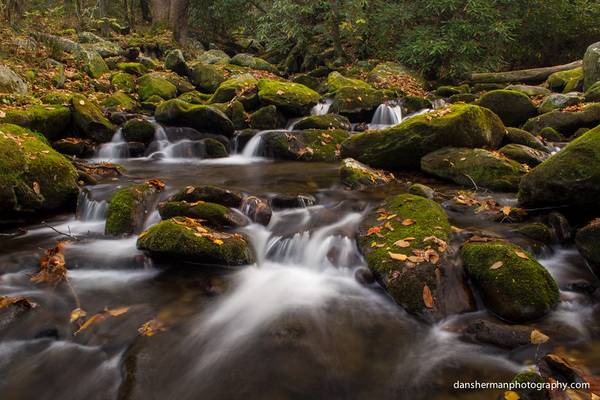 Cosby Creek