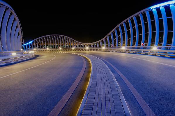 Al Meydan Bridge #3