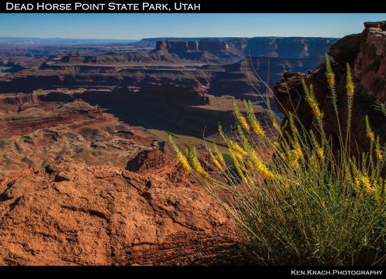 Dead Horse Point SP 6-24-11 PM (33)