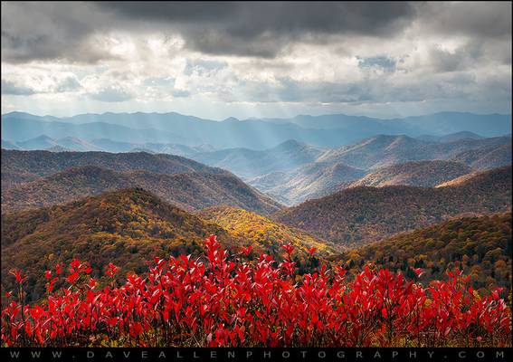 Blue Ridge Parkway Fall Foliage NC - The Light