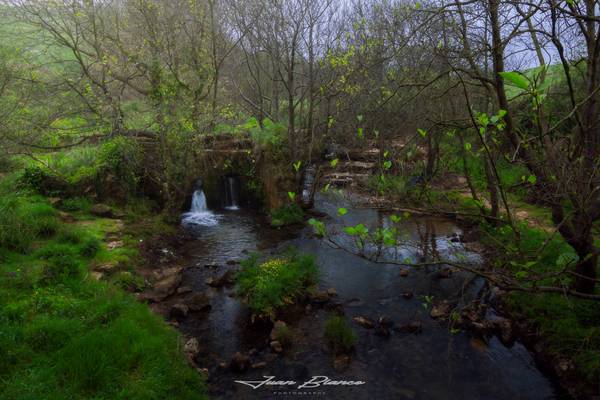 Toñanes | Cantabria | 2014