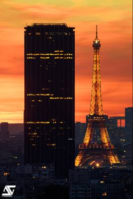 La belle et la bête II