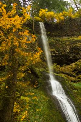 Winter Falls, Silver Falls State Park, Oregon