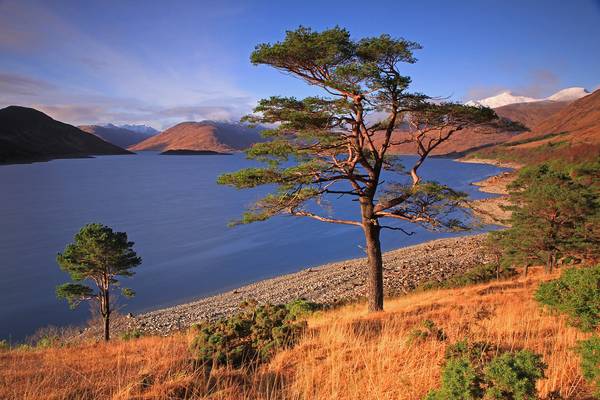 Loch Quoich View.