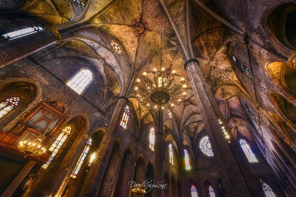 Gothic ceilings