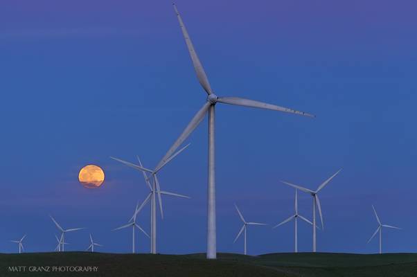 Moonrise over the Wind Farm