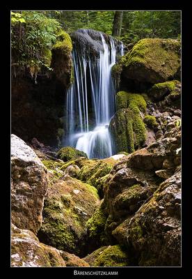 Bärenschützklamm - 10