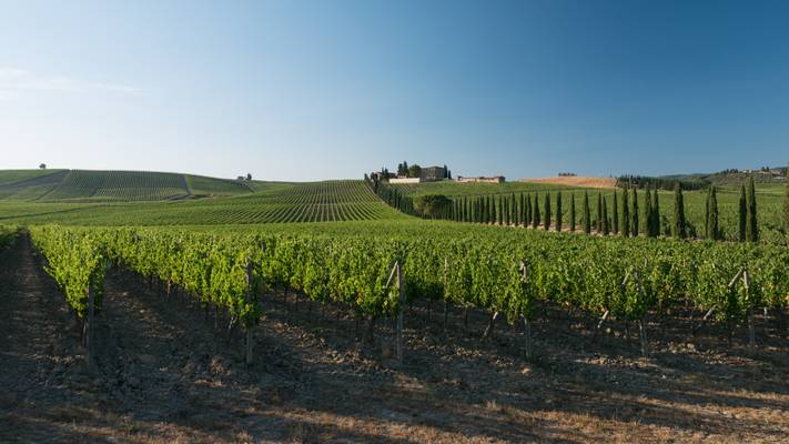 Chianti landscape