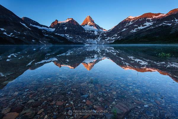 Mount Assiniboine Reflection