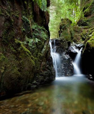 Puck's Glen - Cowal Peninsula - Scotland