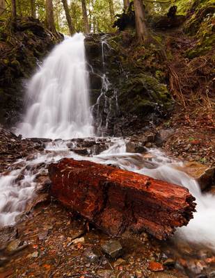 Lynn Falls And The Red Log