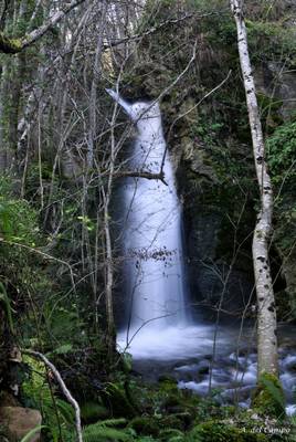 Velo de agua