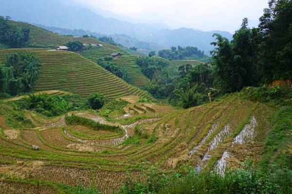 Rural scenery of Muong Hoa Valley, Vietnam