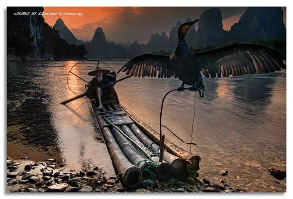 The Old Fisherman and his Cormorant [2]