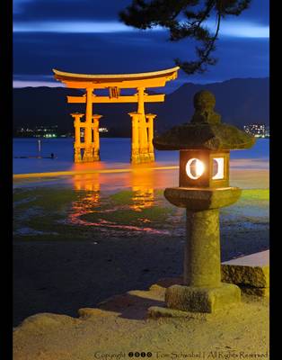 Torii at Twilight