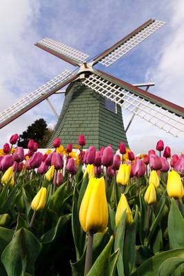 A Bigger Windmill