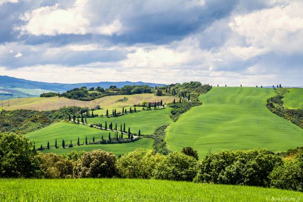 val d'Orcia-062