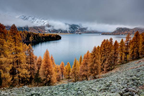 Herbststimmung