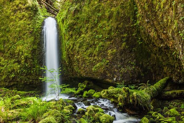 Mossy Grotto Glow