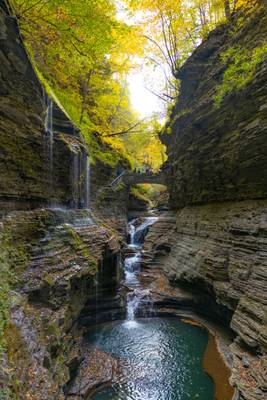 Watkins Glen