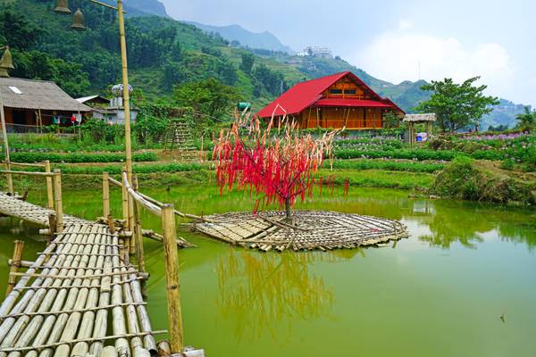 Fishing pond with the red tree in the middle, Cat Cat village, Sapa