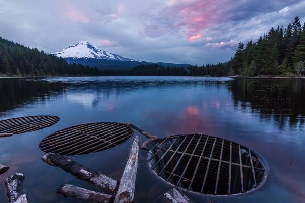 Quick! Find Me A Foreground!!!