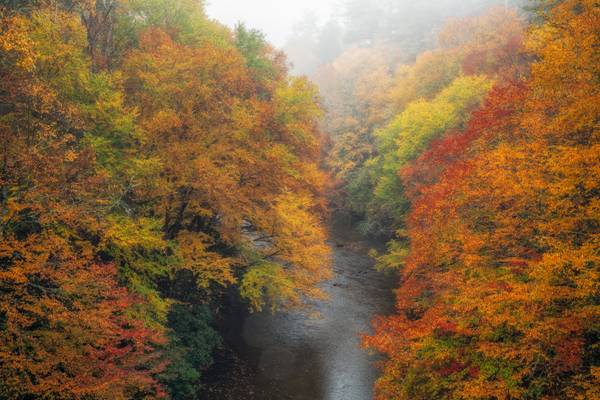 Autumn Bows Down to Linville River