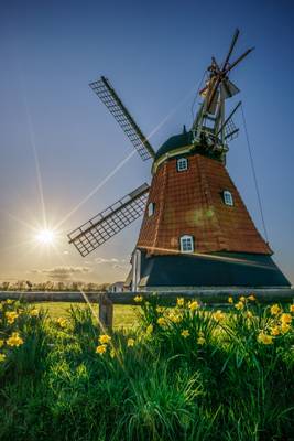 Bjerre windmill, Stenderup, Denmark - Travel photography