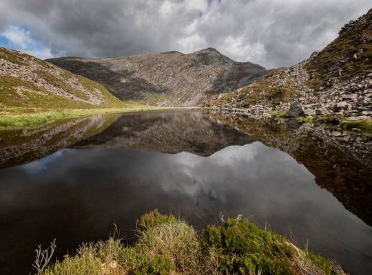 Reflected Rhinog