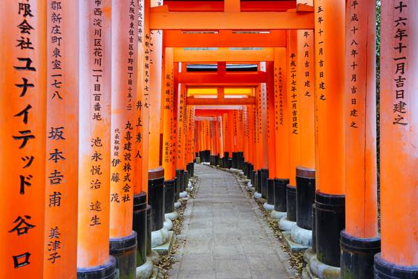 Magnificent archway of Fushimi Inari, Kyoto