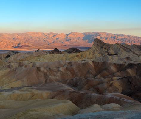 A forest is mystery, but the desert is truth. Life pared to the bone…