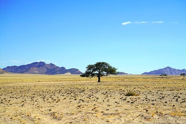 Travelling across Namib-Naukluft National Park, Namibia