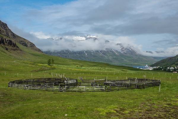 Iceland 2015 Trieur à chevaux