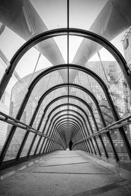 Ponte Japponese (Paris)