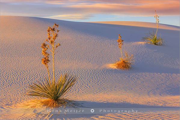 White Sands National Monument - New Mexico