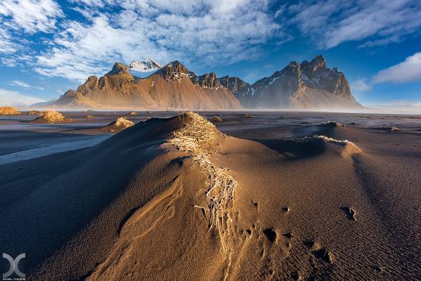 Vestrahorn Gold