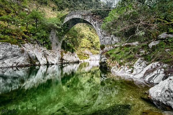 Puente romano La Vidre