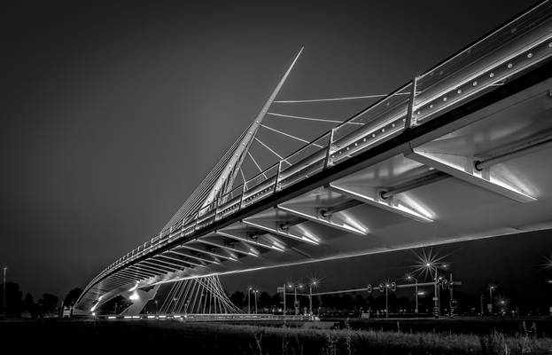 Calatrava Bridge II